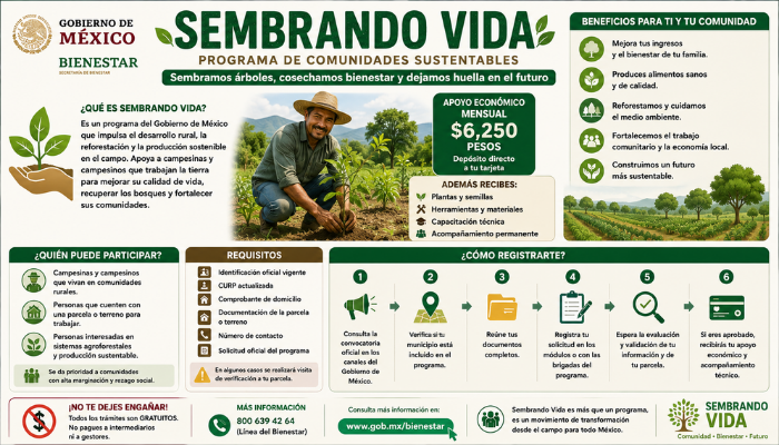 sembrando